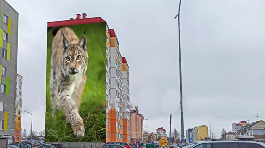 Муралы с краснокнижниками украсят многоэтажные дома в Дзержинском районе